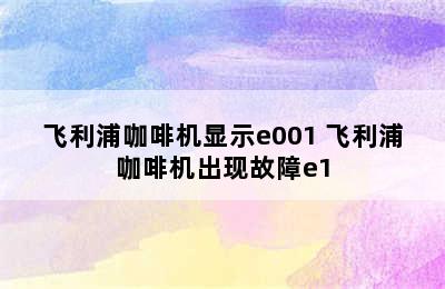 飞利浦咖啡机显示e001 飞利浦咖啡机出现故障e1